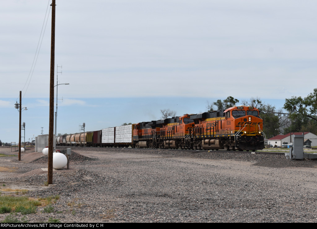 BNSF 8036/6754/1031